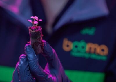 Booma Foods – Austrade